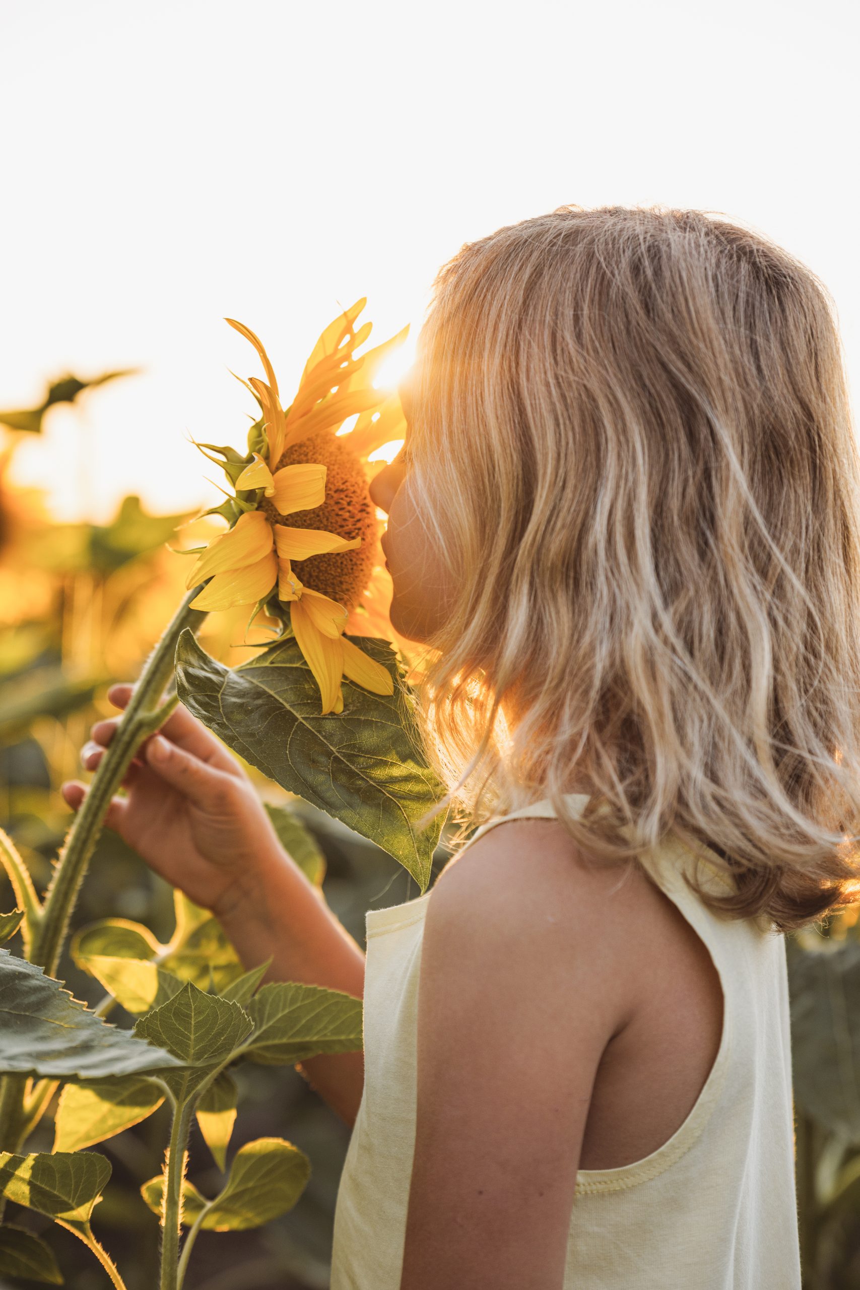 Kontakt - Fotografin Grafikdesigner Webdesigner Öhringen Hohenlohe