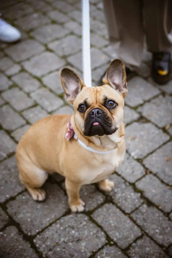 260116_FranziKevin_Hochzeit_juleclear-115